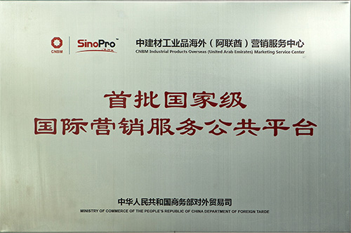 CHINA NATIONAL BUILDING MATERIAL GROUP FZE